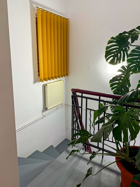 Hala Traian, str. Zefirului